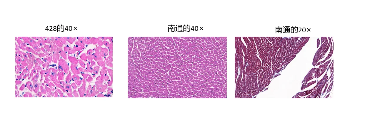 不要用不同的仪器做同一个实验