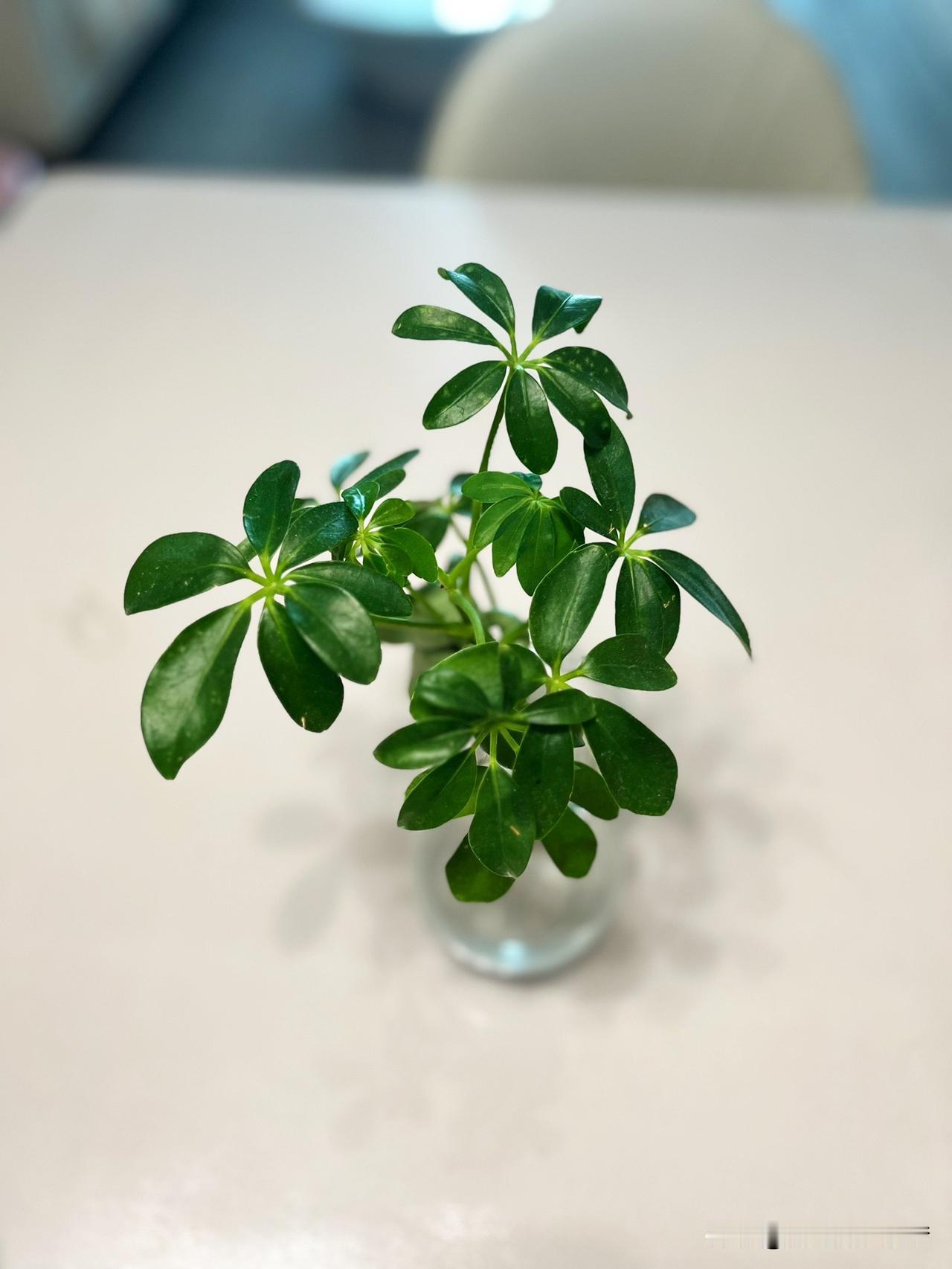 网络上有一段话说的很好：“七零后最让我感动的是：依然愿意用旧日的模式去迁就敬重父