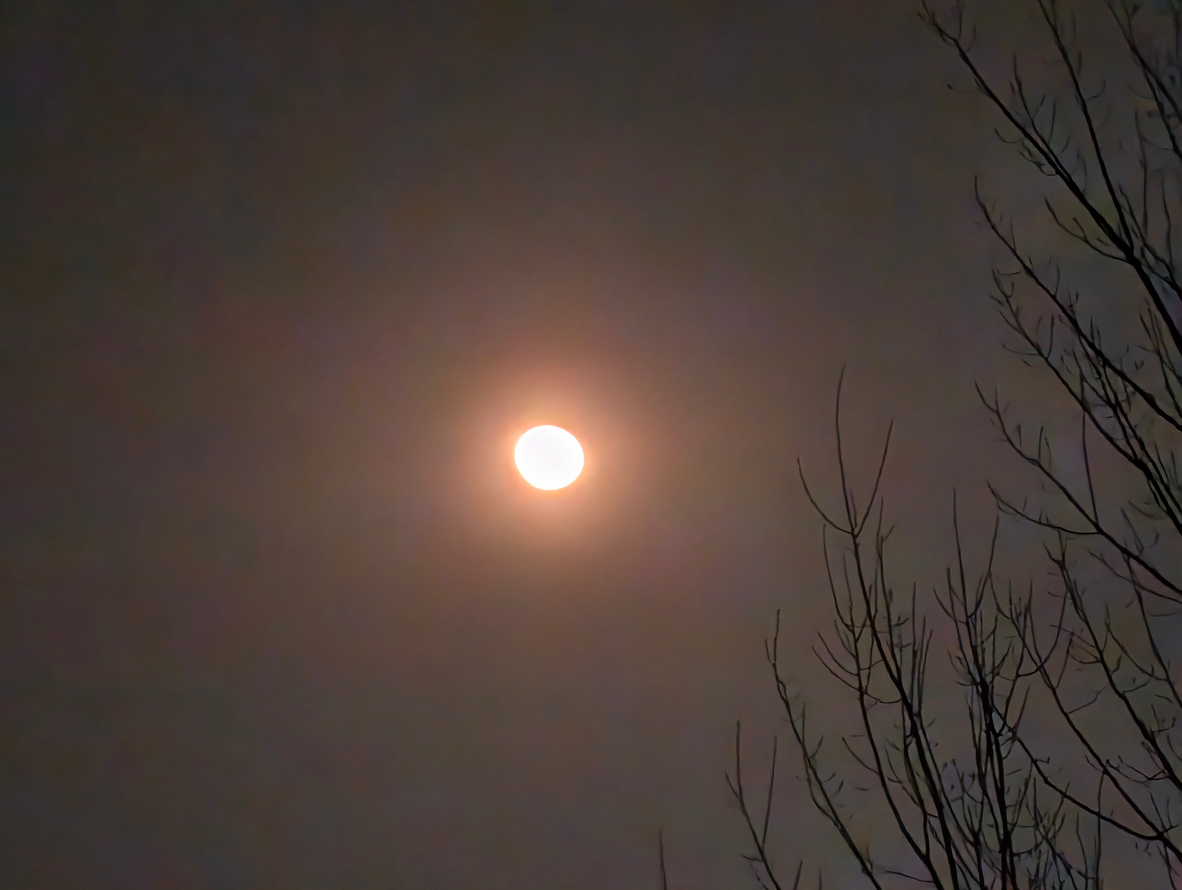 月亮我的月亮……好吧，没有不拍成一团的义务 