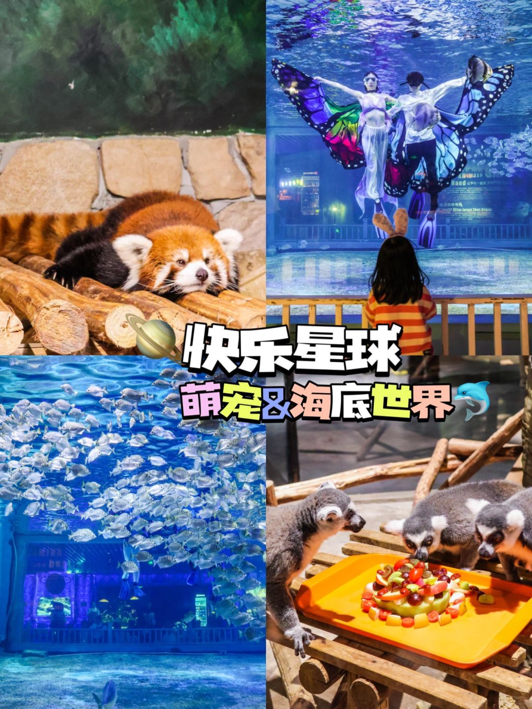 娃的快乐星球🪐海底世界🧜‍♀️➕萌宠乐园🦙