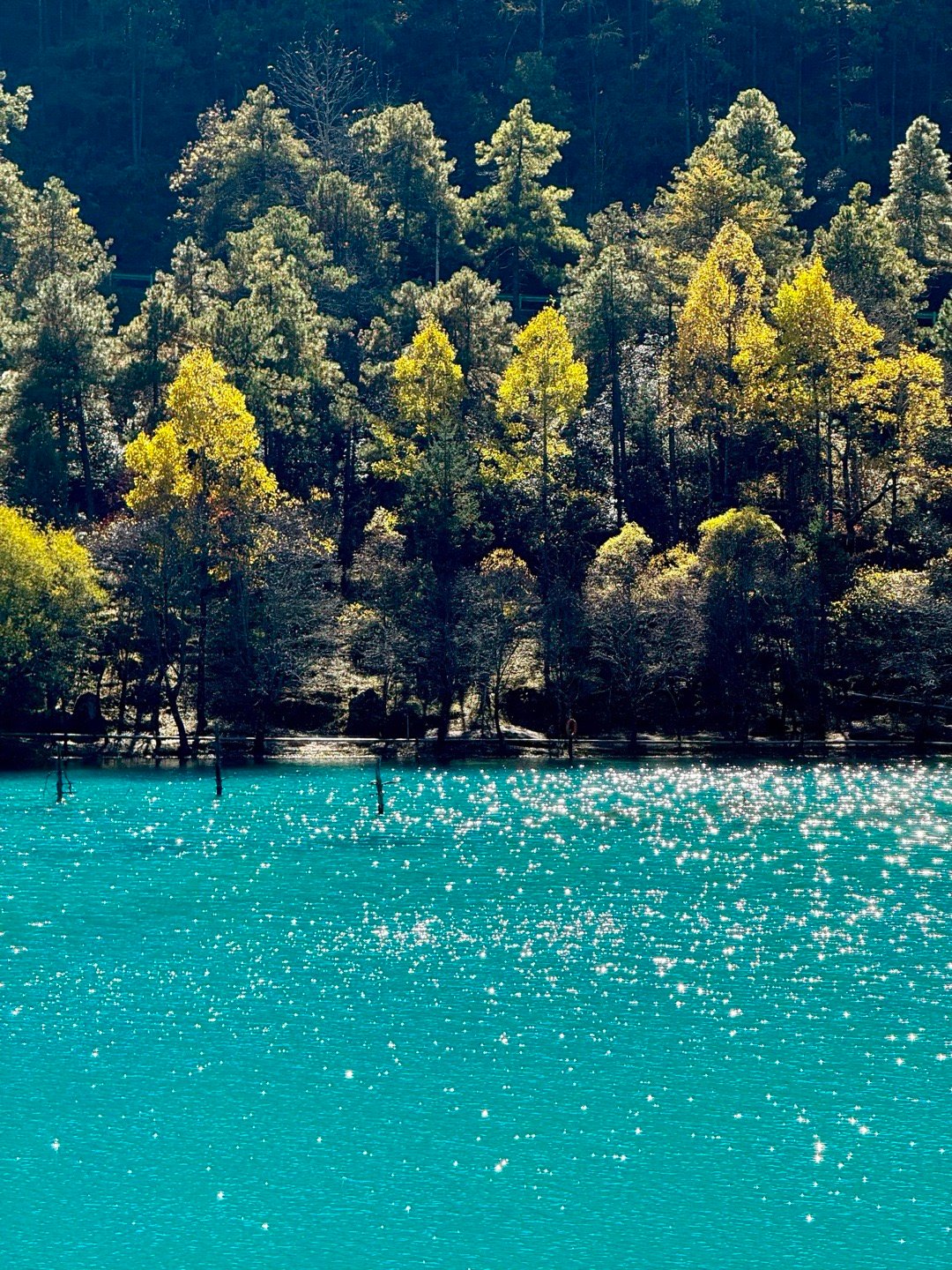 📍丽江蓝月谷 ◡̈ ᶜᵘᵗᵉ体验蒂芙尼蓝湖水🫧的绝美💎 