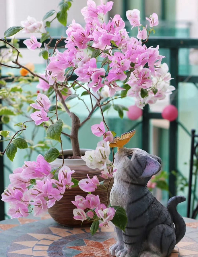 “  花开自在 …  ” 