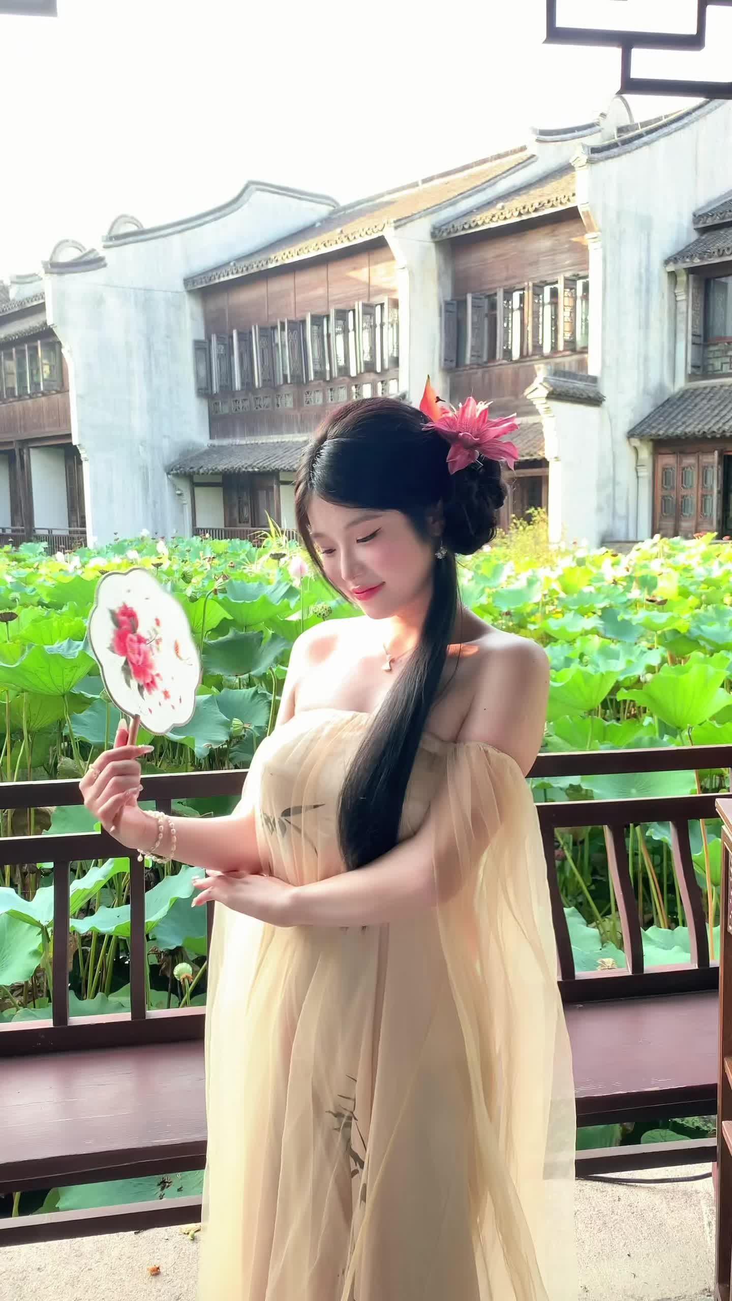 夏天 乌镇 我本无意去江南 奈何江南入我心