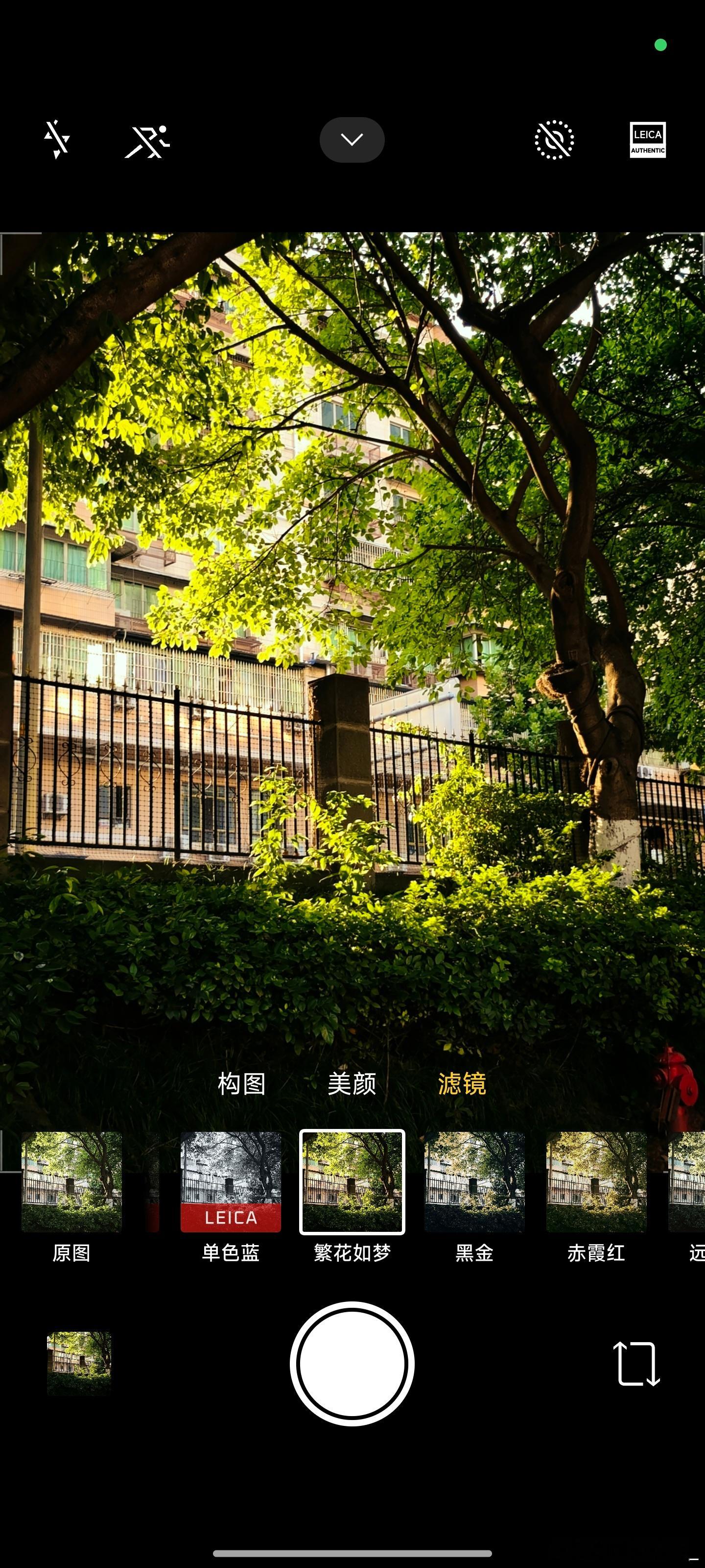 遇事不决，繁花如梦[爱你] ​​​