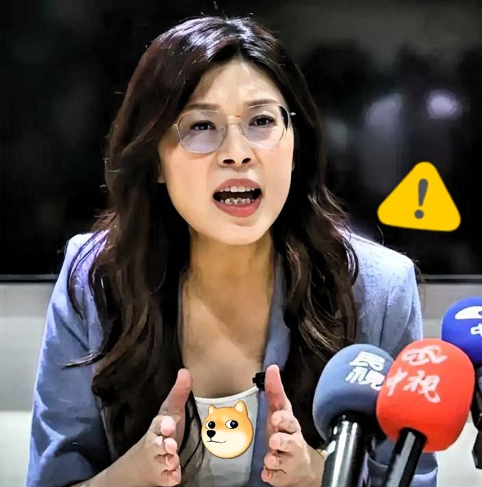 郑女士这回赴美的算盘，
算是彻底踢到铁板了！

郑丽文访美局势尴尬，处境进退两难