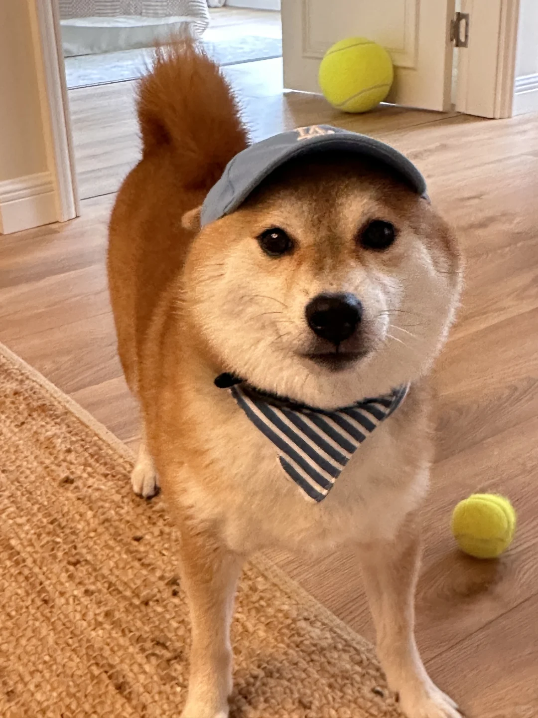 孩子4岁 现在学网球晚不晚🎾