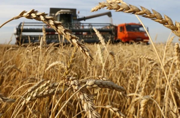 阿根廷首次向中国出口小麦