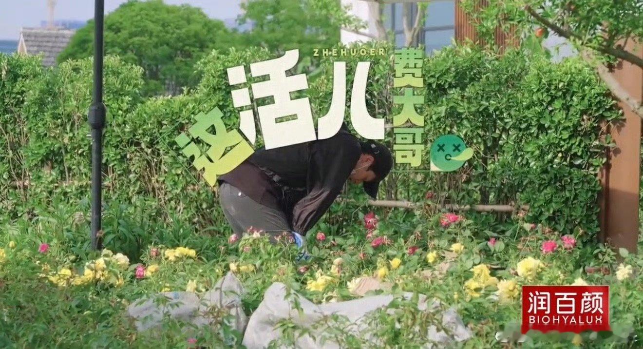 十个勤天刚上班vs上班四年种地吧鲜明对比摆在眼前，早期的十个勤天敢冲敢闯，无惧困