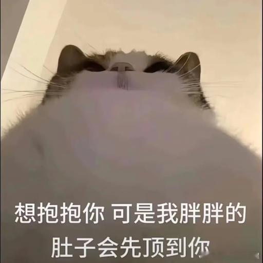 分享图片 