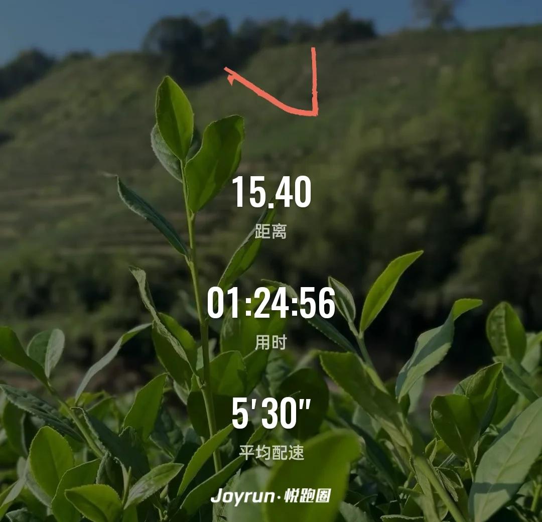 做我的腿，您辛苦了✅
秋风阵阵，
降温了
	
可是
今天，跑得太痛苦了。😨
像