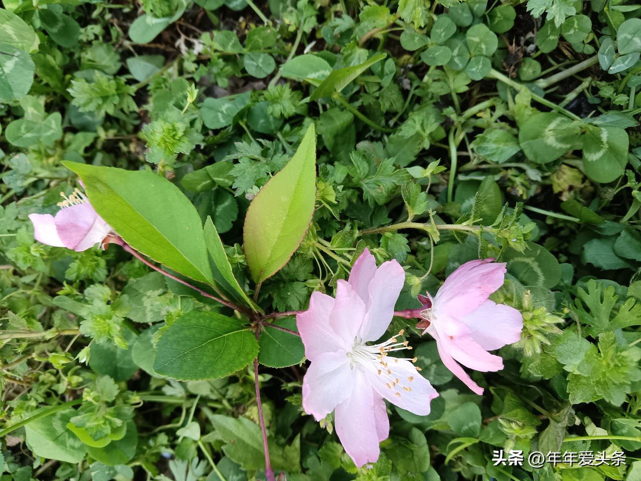 早知今日有这现状，后悔当初的决定，现在的话绝不这么做。

这是今天张姐和我谈的最