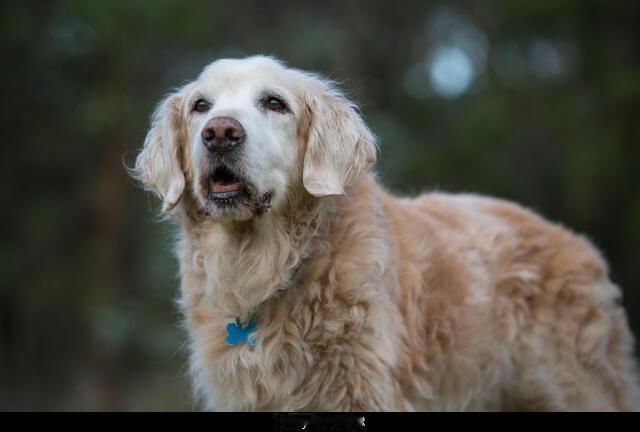 房子后面去年冬天搬来了一个新邻居，是我的小老乡，女的也喜欢跳操，于是我俩有了每天