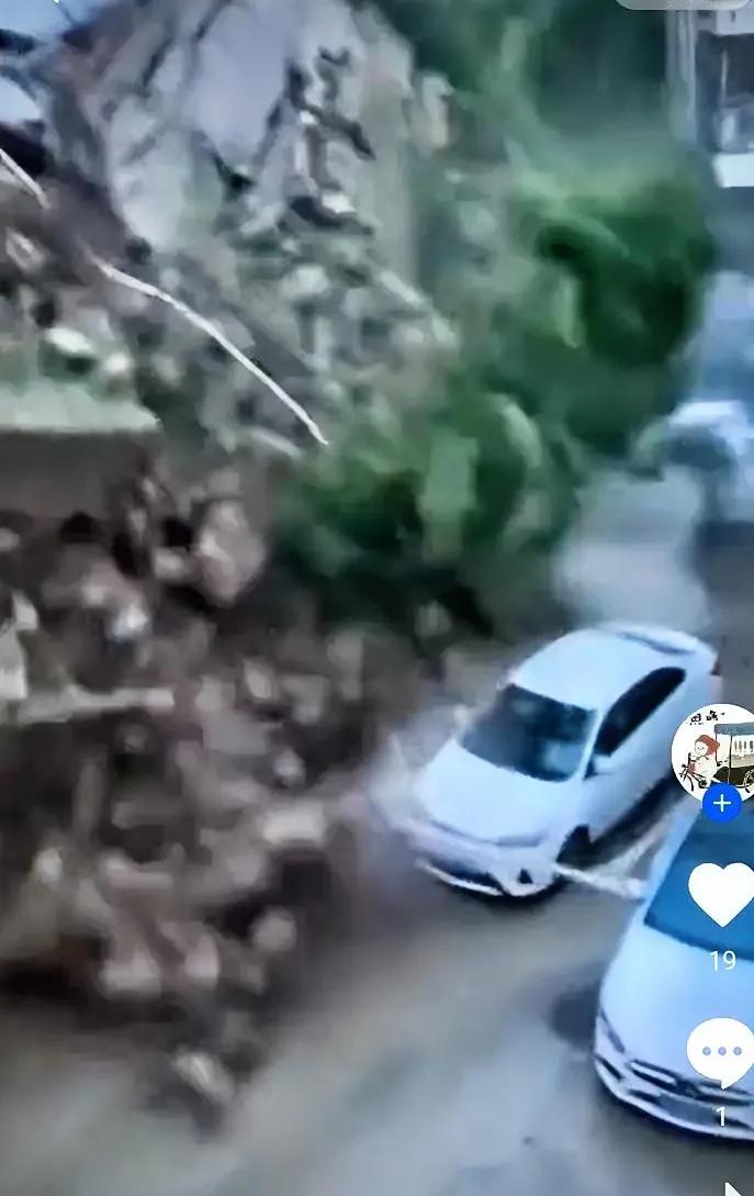 延安丰泽园小区遇自然灾害！比起祈福，这一点更该被记住
 
刷到延安丰泽园小区的消