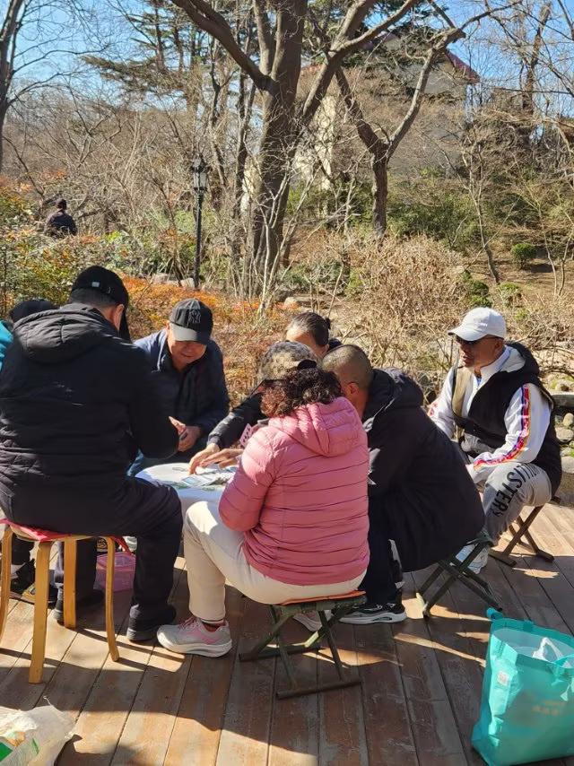 青岛中山公园不但面积大、而且是多项游玩一体的综合性娱乐场所。
中山公园有许多的娱