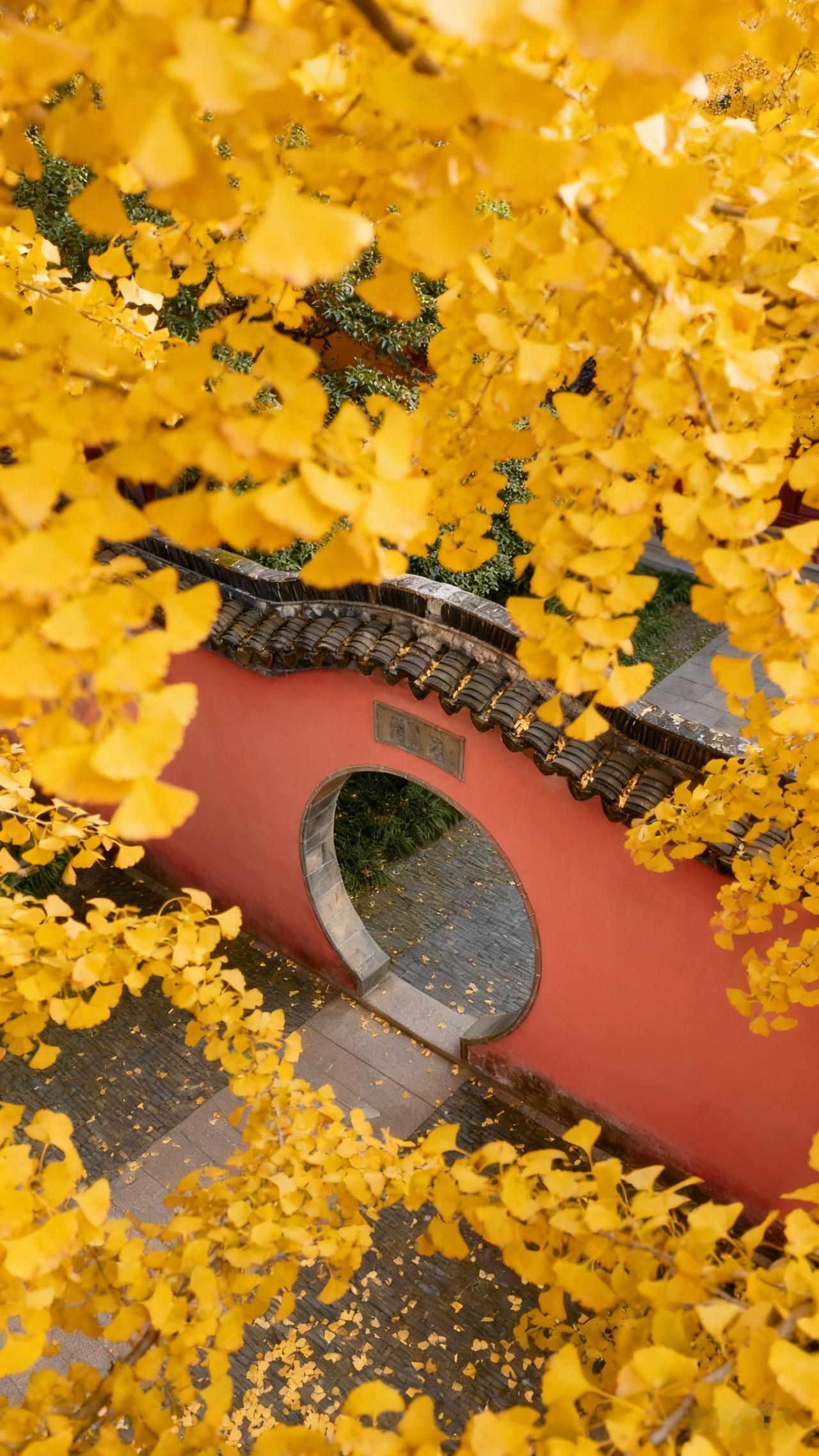 ＃人生的意义永远在于拓展，而不在于固守，别管我今天是谁，我想成为一个更好的自己。