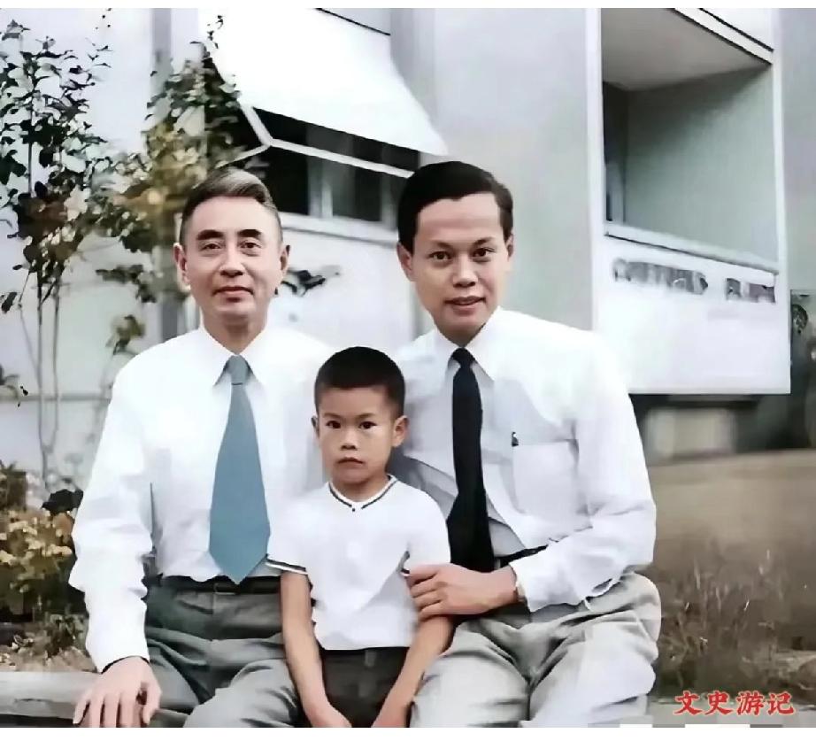 看了下杨武之的履历，才知道他的优秀，他曾获得美国芝加哥大学数学博士，回国后先后在