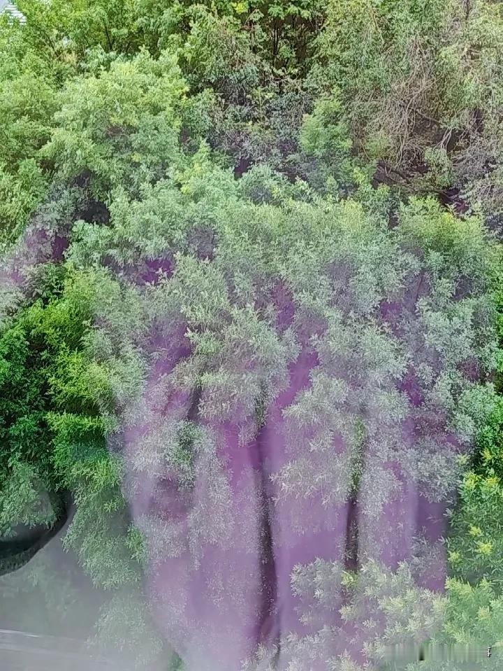 每日一图
换个地方
味道不同
不习惯用阶层
但阶层确实存在