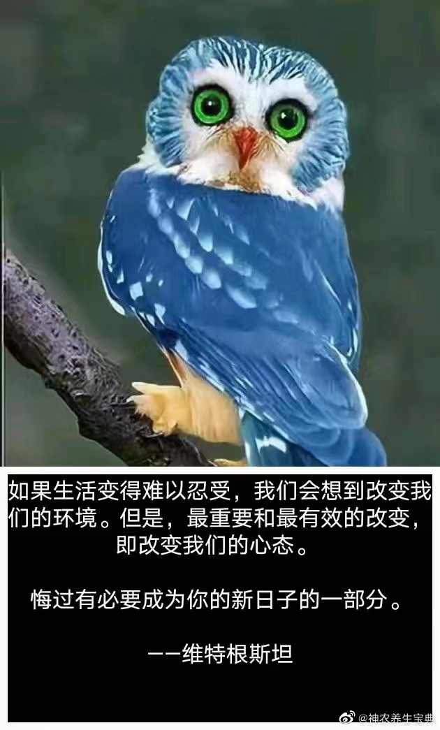 减肥减肚子，防己黄芪汤？不全是！医道寻常百姓家 我不知道这个方子是怎么突然火起来