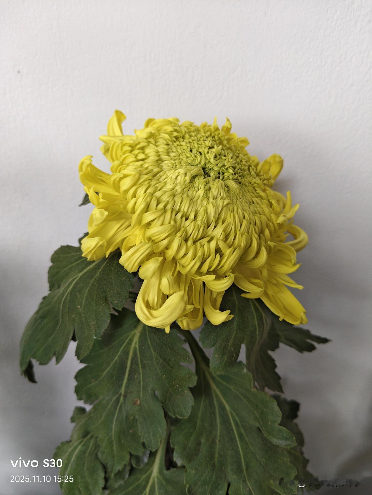 在异乡突然想家的瞬间