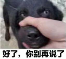 特朗普嘴中的美国和伊朗正在"深度″谈判，"深度″有多深？
事实是:
一、中断打击