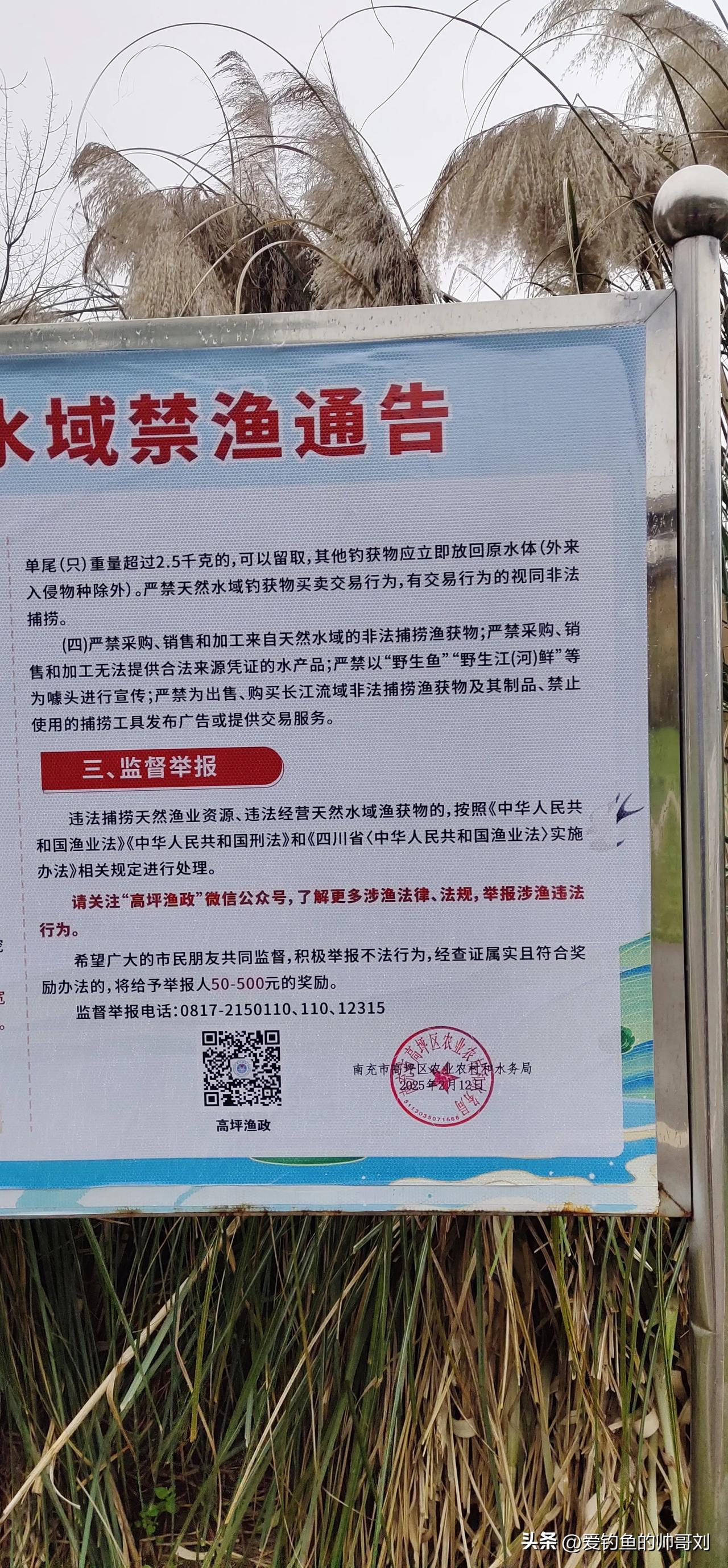 原来举报还有奖励，能不能把奖励提高一点呢？我个人意见，仅供参考，能不能把奖励提高
