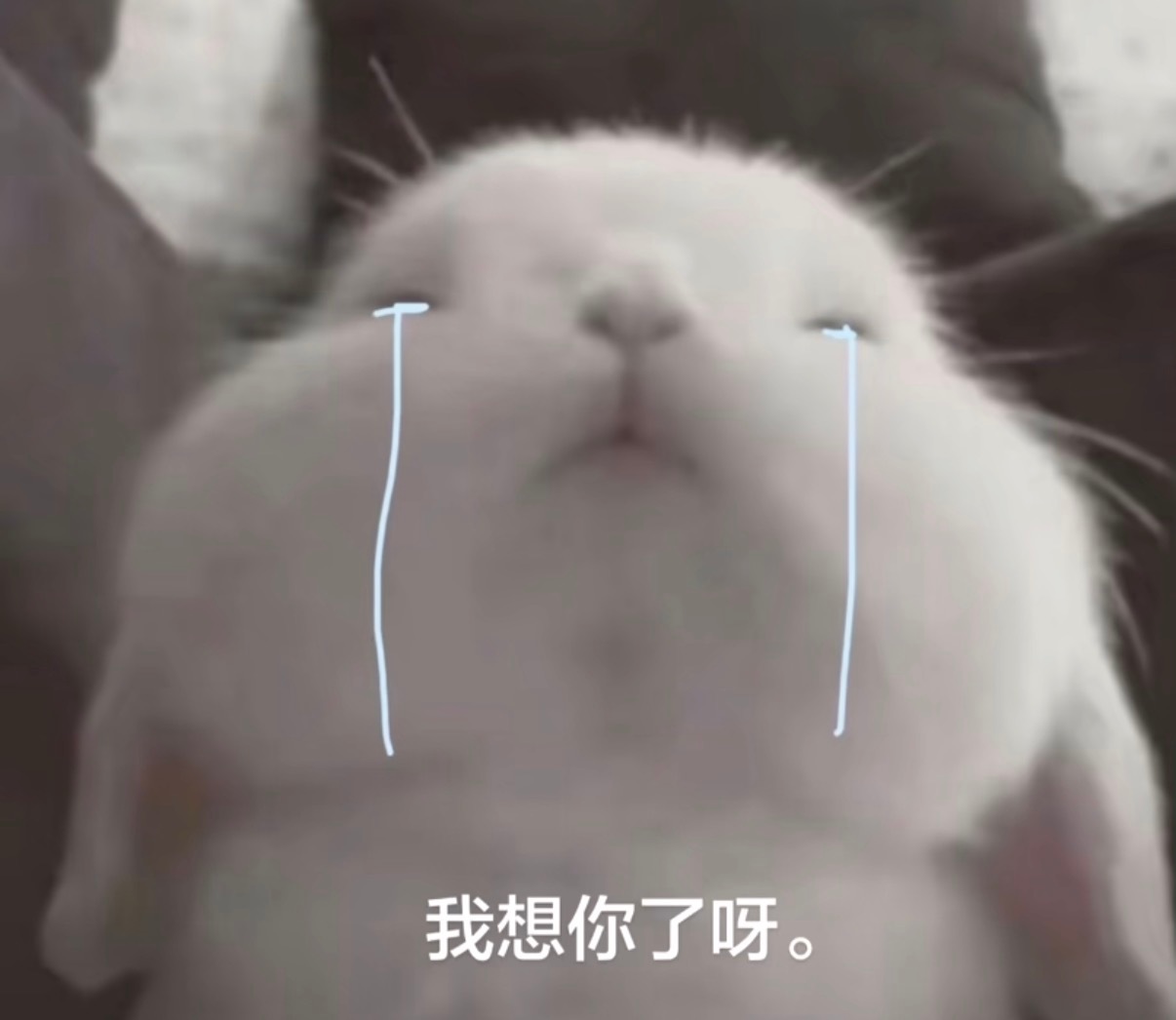 分享图片 ​​​