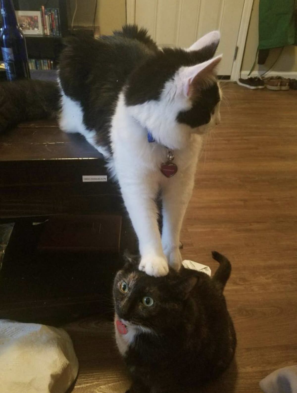 传功中 ​​​