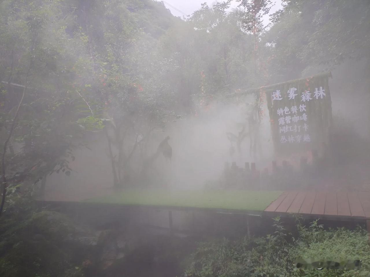 昨天看了一篇文章，说重渡沟的景点有造假行为，在栾川的王府竹海也有这样的景点 ，异