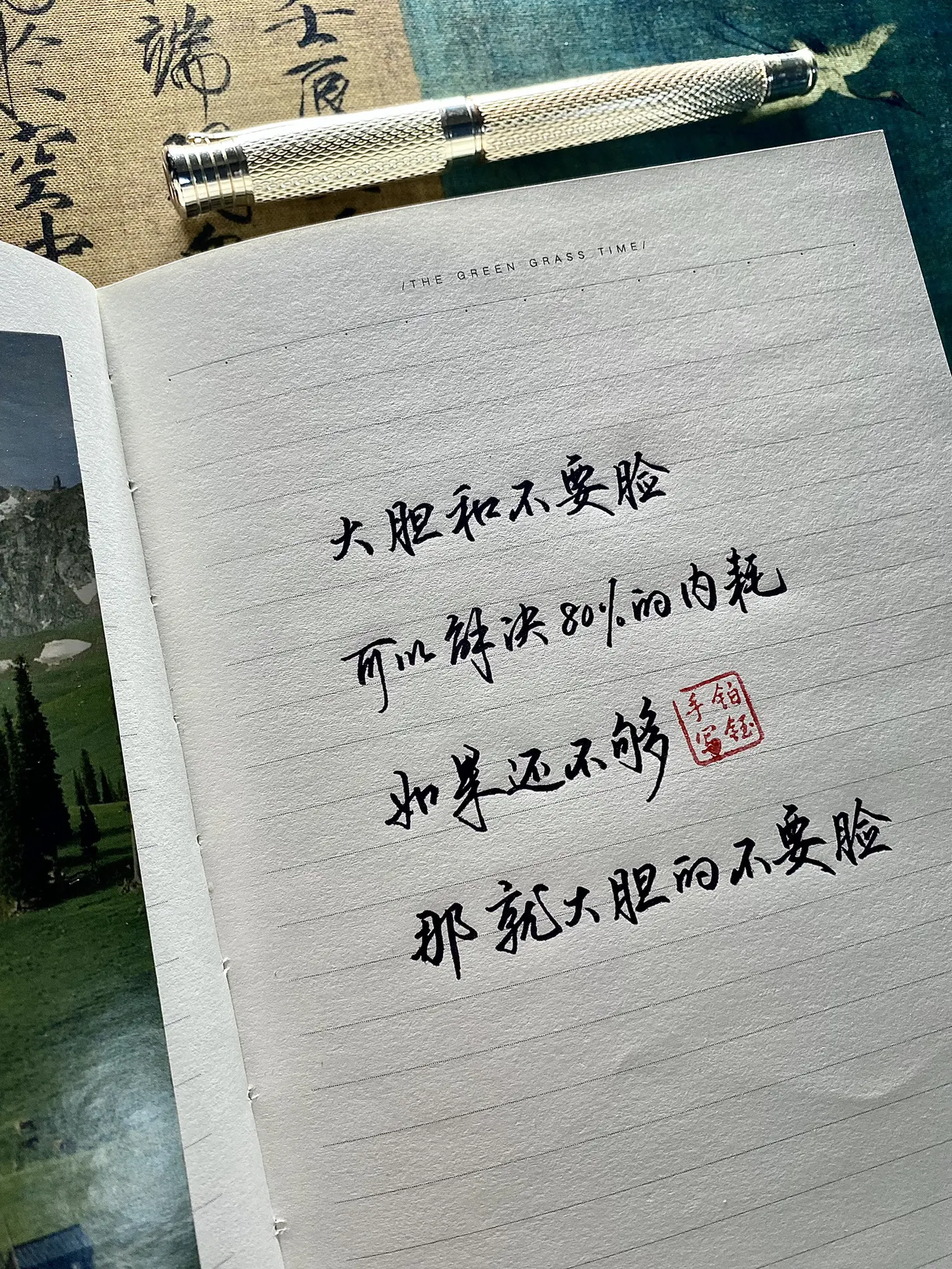 大胆和不要脸可以解决80%的内耗，如果还不够，那就大胆的不要脸情感共鸣 行楷
