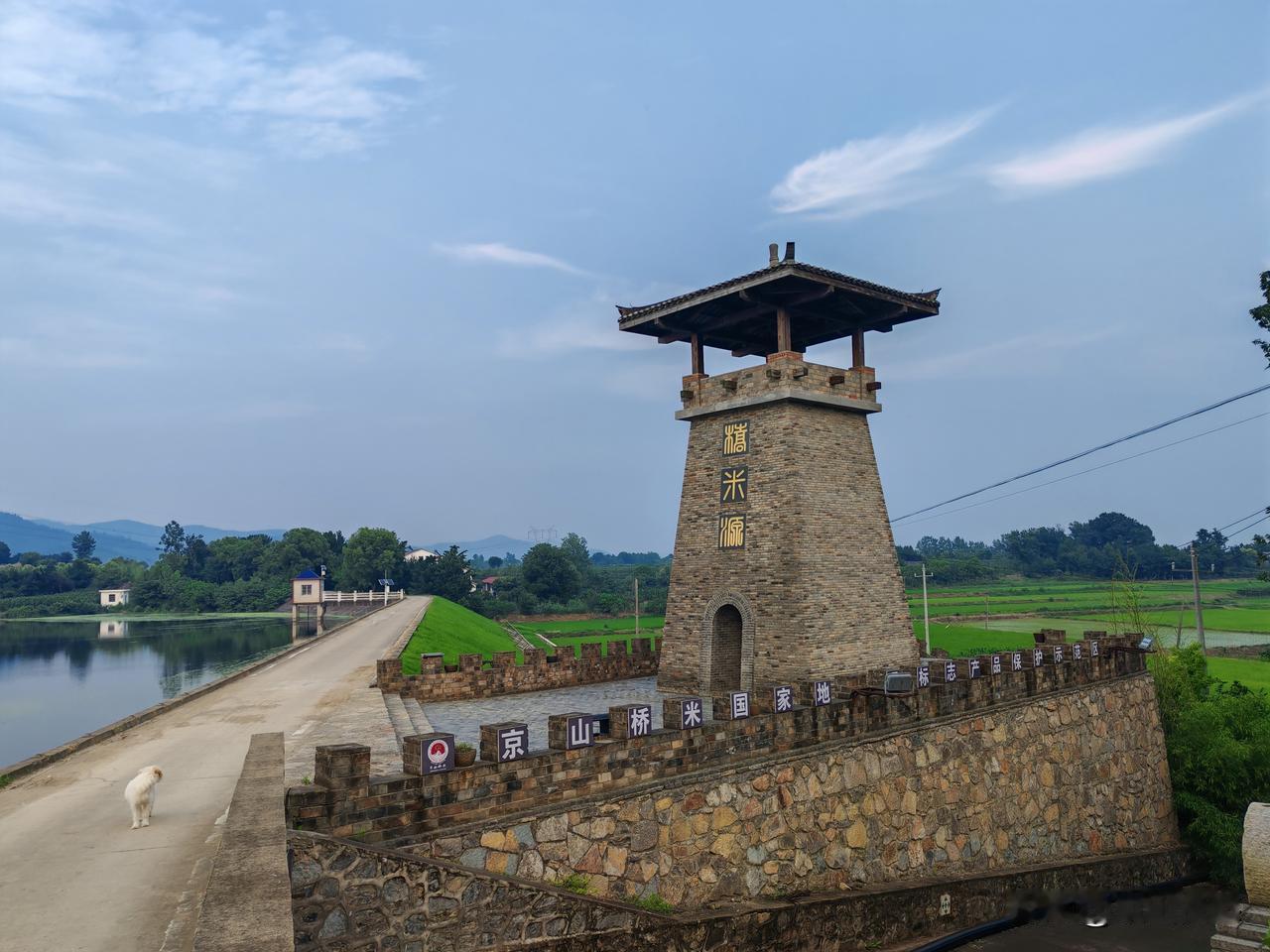 京山桥米原产地一一京山市孙桥镇蒋家大堰村。