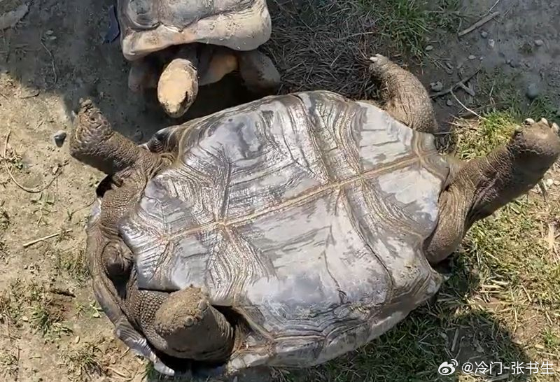 不会真要0比0吧！下半场塞内加尔守住！0比0最好！法国VS塞内加尔法国0比0塞内