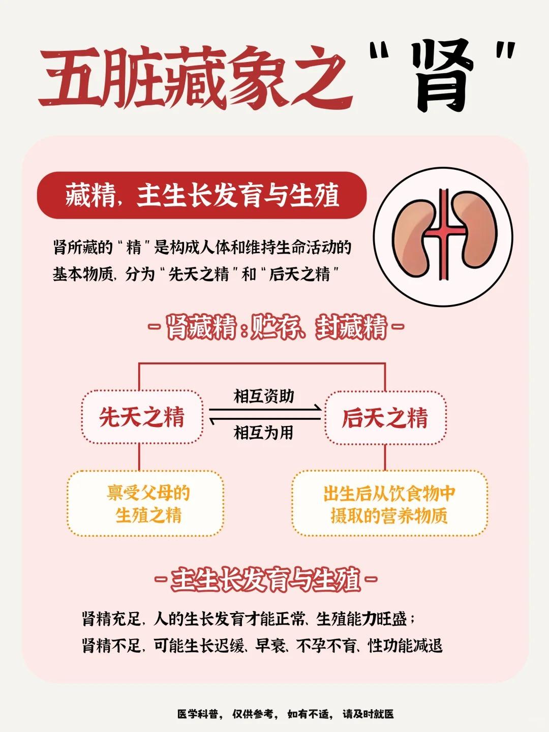头发早白、总爱忘事？肾在偷偷‘告急’！