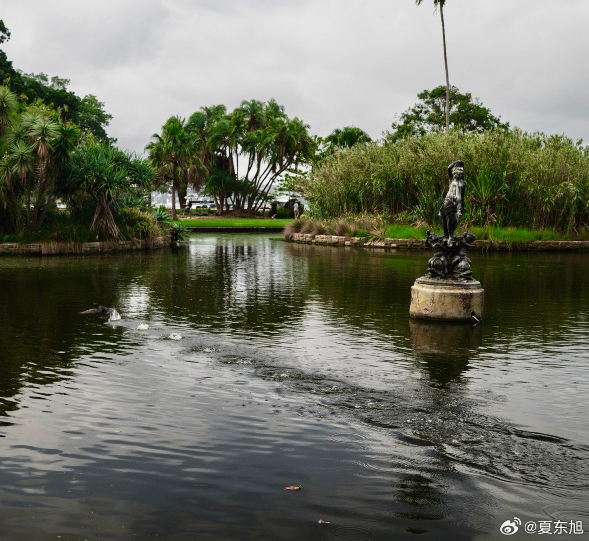 老夏的环球旅行｜澳大利亚🇦🇺新南威尔士州 初见悉尼DAY1这次是我期待已久的