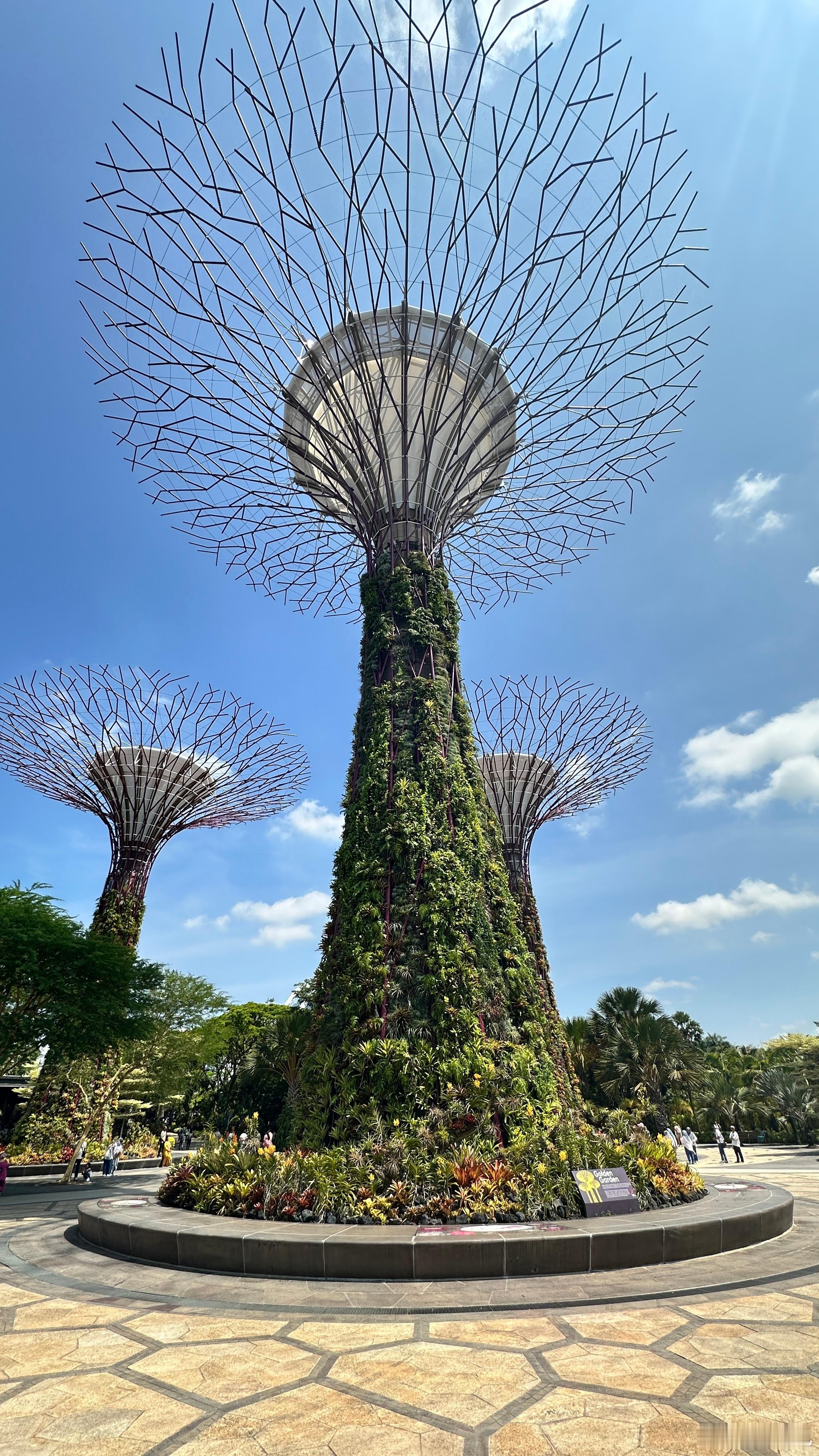 老夏的环球旅行｜新加坡新加坡的太阳真的热到融化🫠带娃一头扎进滨海湾花园的Clo