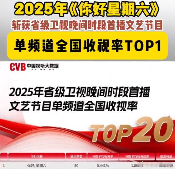你好星期六年度收视第一 hi6收视率年度第一 你好星期六 2025省级卫视晚间时