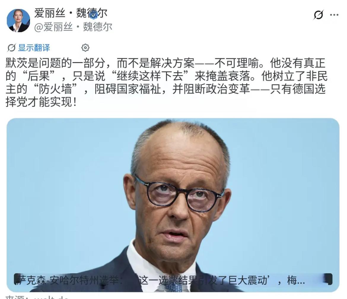 北京时间9月7日，德国选择党联合主席魏德尔公开发文，尖锐批评总理默茨，直言对方是