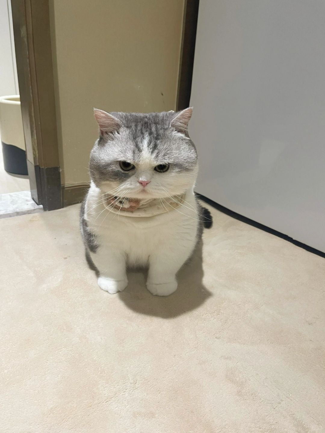 春节回来看到留守儿童这脸色了