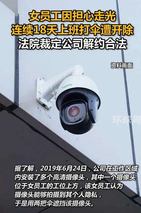 办公室里，一片肃穆严肃的工作气氛。只不过，在这股严谨的氛围中，一处颇为奇特的景象