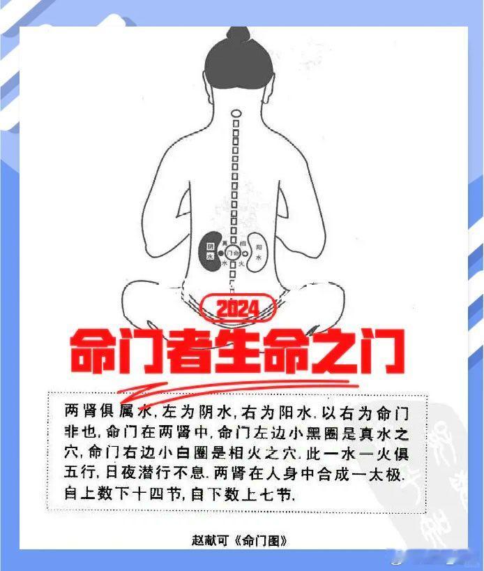 命门火为先天之本，脾胃为后天之本订正：肾水属于命门先天水火之中的真水；后天之本，