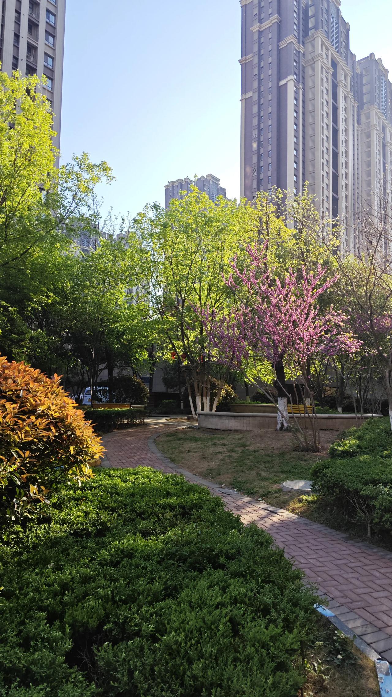上个月去乡下散心，遇到一位九十多岁的老人。他在村里住了大半辈子，没人知道他的来历