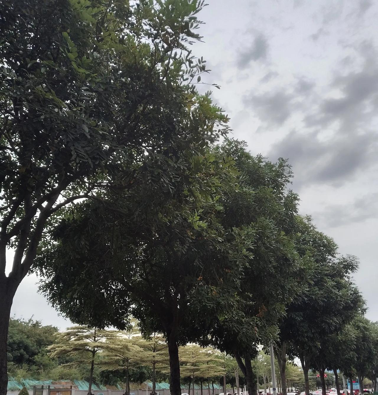 年轻宝妈独自遛娃时遭遇的尴尬事，每天遛娃都会碰到一群奶奶或者外婆带着娃。根本不想