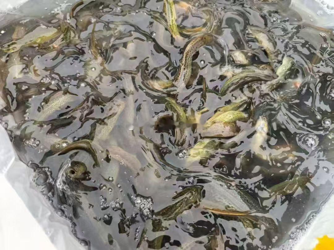 一切都是因果轮回，过去业障太多 ，要去放生，祈福，助利他人，成人之美，做一些对大