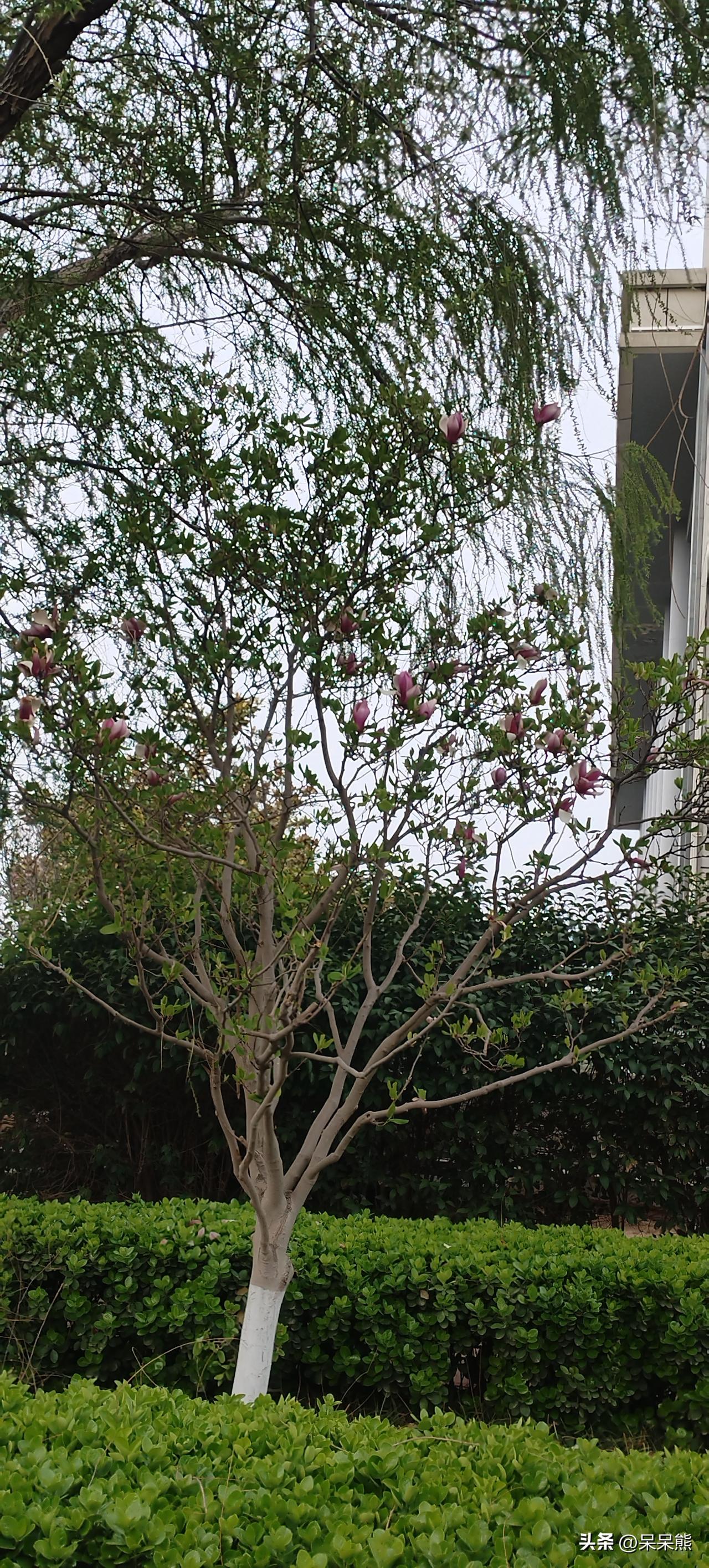 有过度节俭的人。
带着充电宝去公司充电，这样手机就可以充电了，这不是给家里省电费