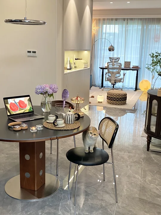29岁和猫🐈一起独居，打造心动的办公角～