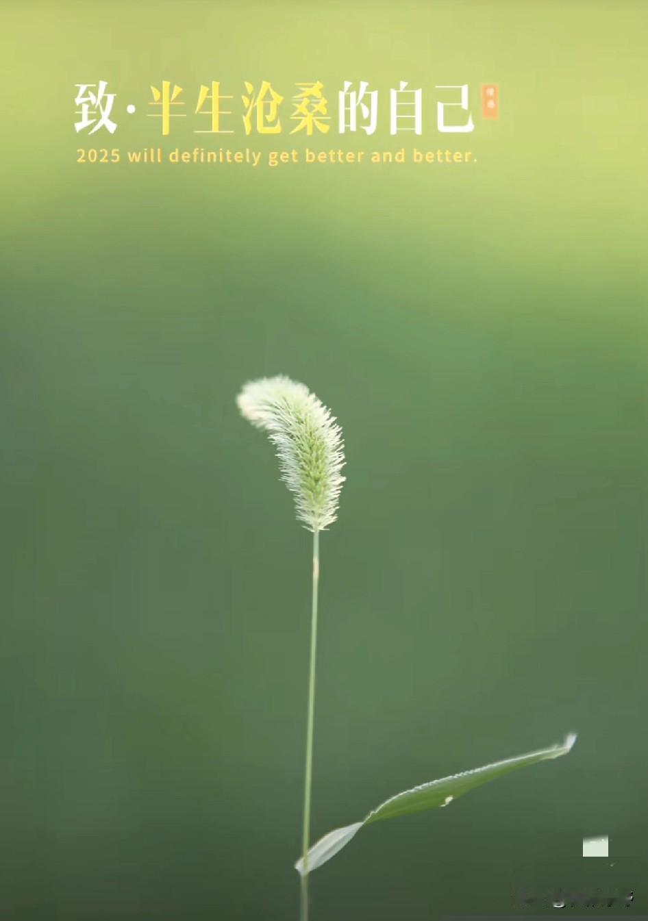 半生人间，只剩沧桑
 
写我满心欲望，终究两手空空。
 
写我半生浮沉沧桑，回首