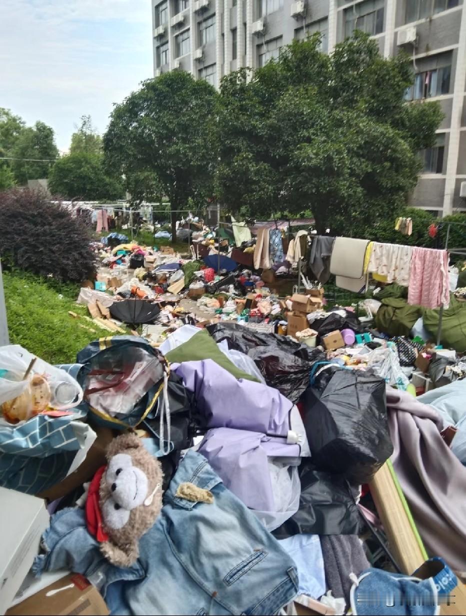 前两天去学校接孩子，走到宿舍楼下，楼道旁边堆着一大摊东西，脸盆、水壶、被子、衣架