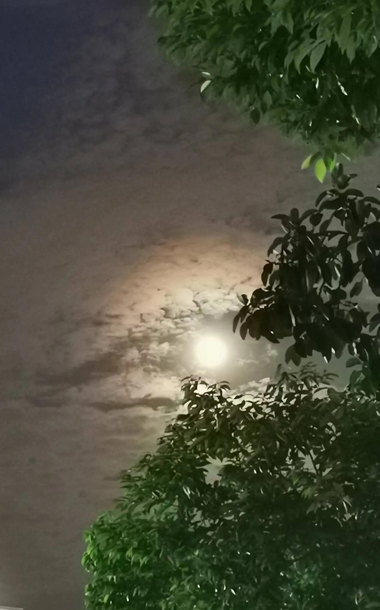 《水调歌头·明月几时有》
                           