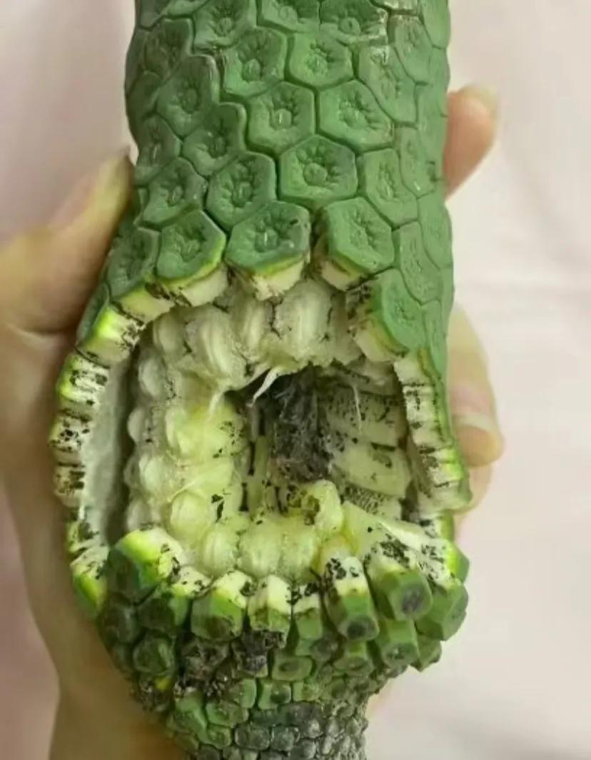 被室友嘲讽家庭条件不好……
感觉真的很离谱!!!
我只是穿的衣服有些整上油搓完留