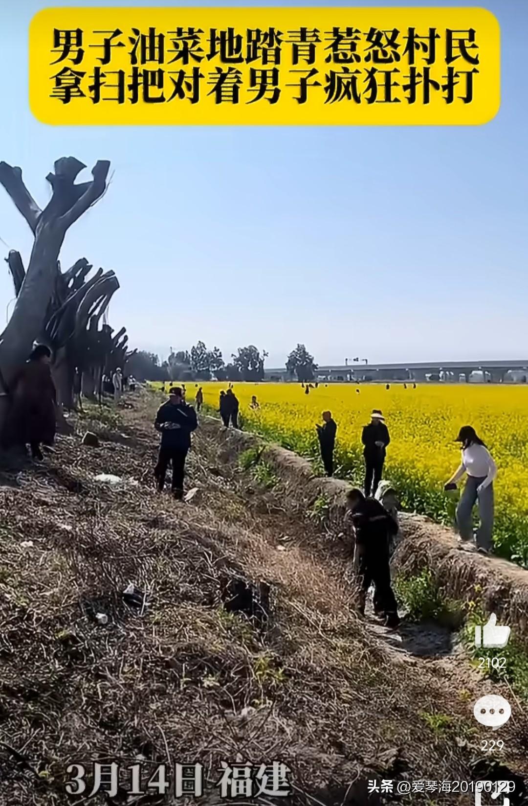 我们常说“生活不止眼前的苟且，还有诗和远方”，但追寻远方的诗意时，请不要忘记脚下
