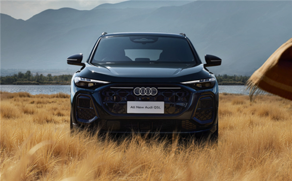 奥迪多地4S店闭店跑路！车主权益成废纸欲哭无泪 